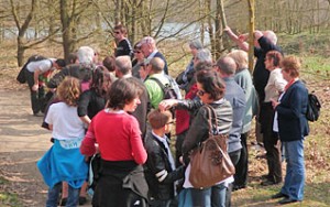 Animations tout public dans la Loire